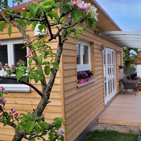 Haus Mit Stilvoller Ferienwohnung Und Tiny House Nahe Ammersee Fuer 2-6 Personen Geltendorf Extérieur photo